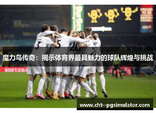 魔力鸟传奇：揭示体育界最具魅力的球队辉煌与挑战